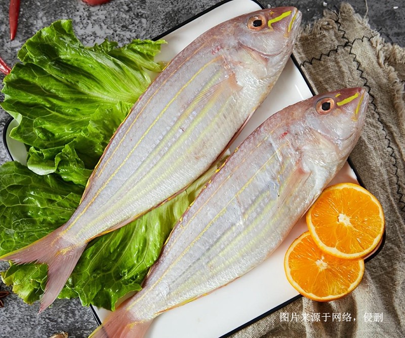 上海進(jìn)口越南金線魚報關(guān)流程到上海外高橋海運(yùn)案例