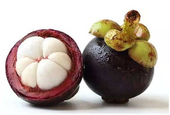 1584494212656161.jpg u=1628441062,1584639227&fm=26&gp=0_副本.jpg