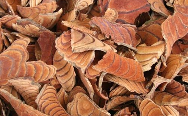 進口中藥雞血藤清關(guān)代理 【進口中藥雞血藤清關(guān)代理】的流程,一般貿(mào)易進口雞血藤