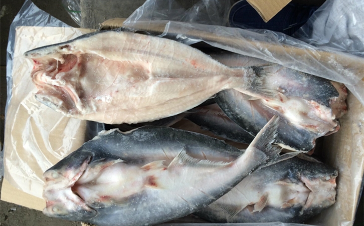 進口巴沙魚清關代理一點都不難，只要你準備好這些資料