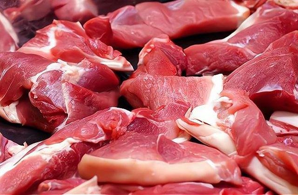 1640596895276323.jpg 河南進口豬肉清關_副本.jpg