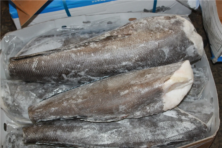 1651835557581090.png 冷凍水產(chǎn)品進口報關(guān)公司 (3)_副本.png