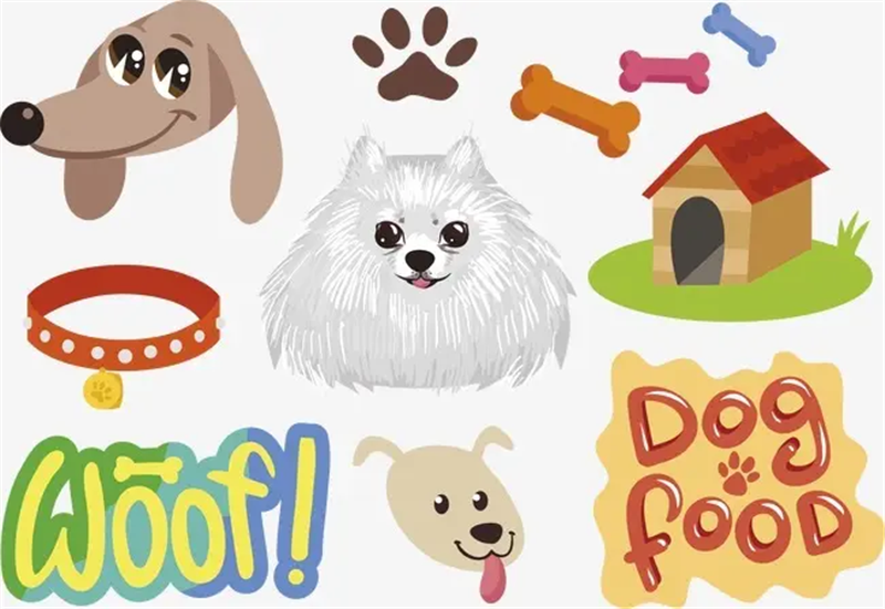 1653469537262499.png 進口寵物用品報關.png