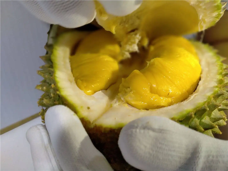 1654767037474673.png 進口馬來西亞貓山王榴蓮清關.png