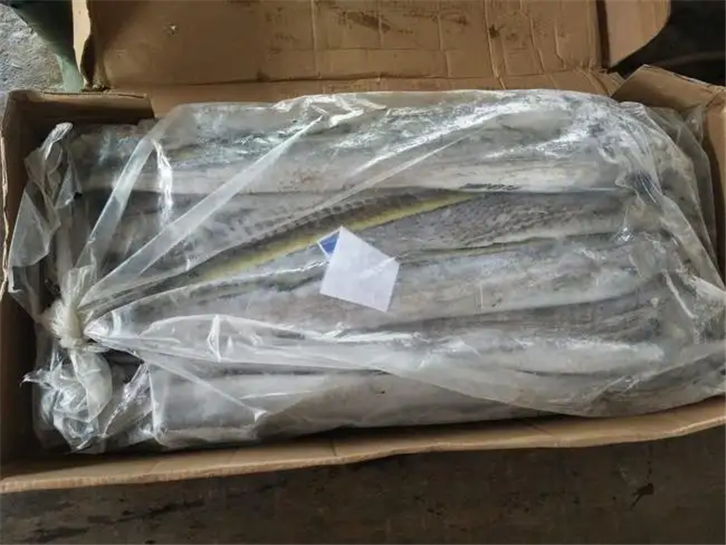 1656410239457185.png 進(jìn)口印尼冷凍帶魚報(bào)關(guān).png