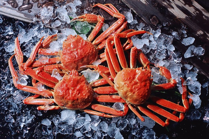 廣州機(jī)場進(jìn)口斯里蘭卡螃蟹報關(guān)費(fèi)用